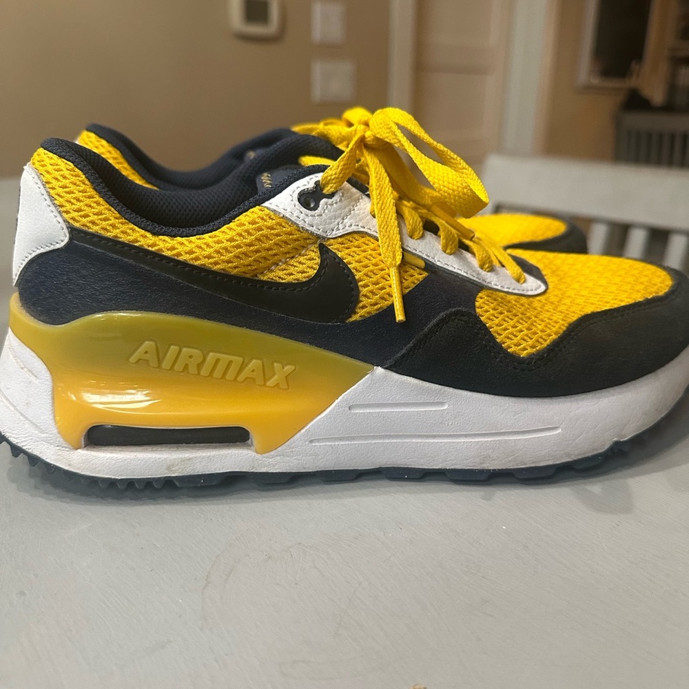 Nike Air Max 1 “Michigan” University Edition Sneakers
